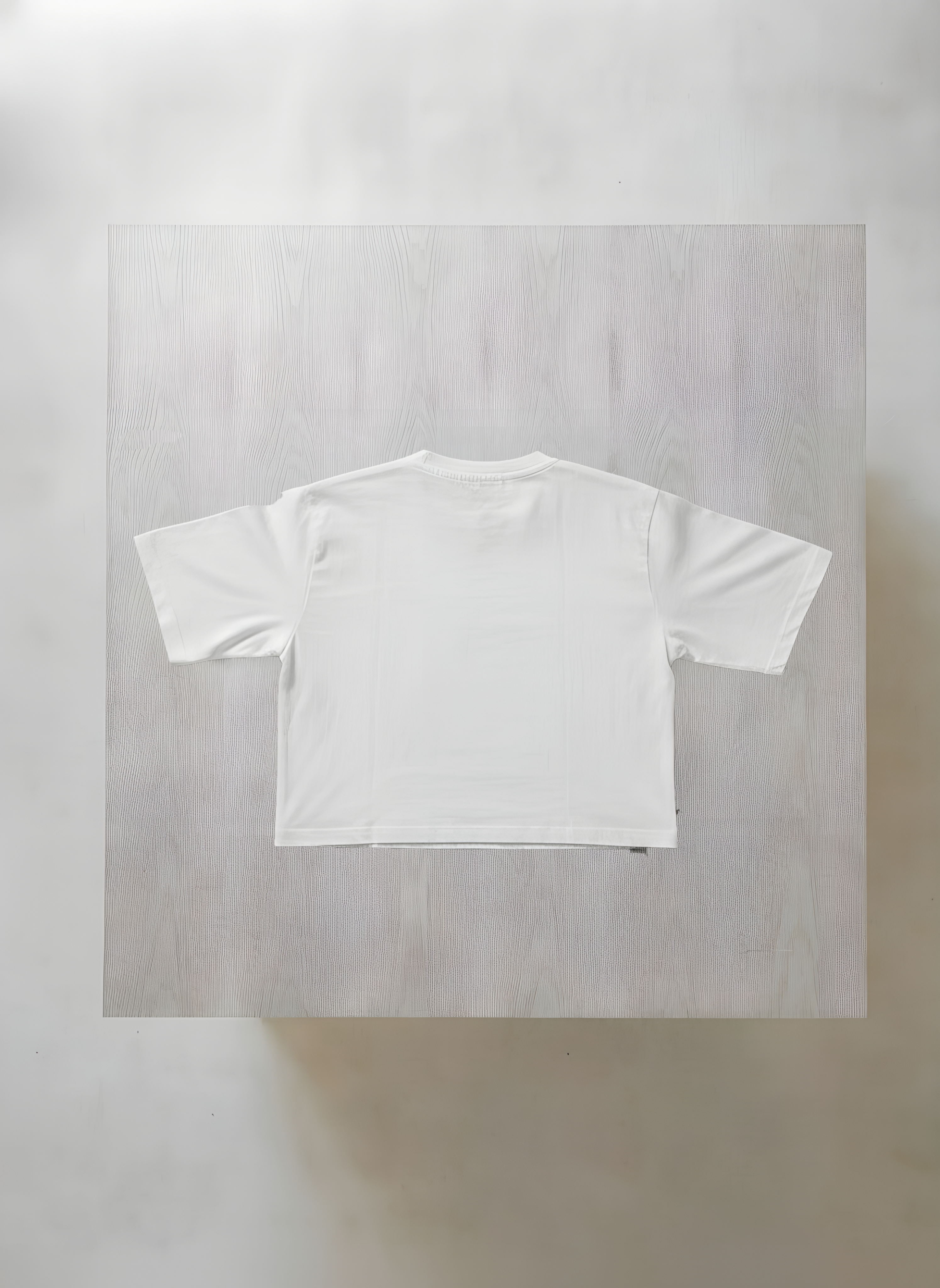Premium Cropped T-Shirt